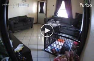 Камера наблюдения сняла нечто очень странное в доме у женщины