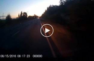 Под Воронежем водитель фуры устроил смертельное ДТП и сбежал