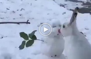 Заяц съел нос у снеговика