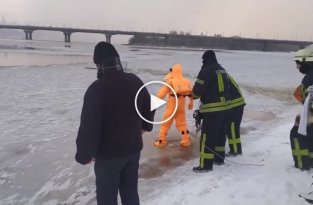 Собака выбежала на лед и провалилась под лед