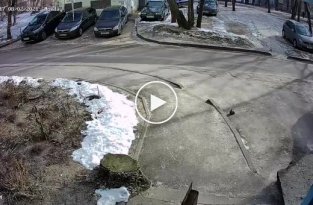 В Воронеже на школьницу напала стая бродячих собак