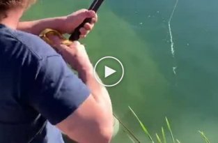 Отличный улов на рыбалке