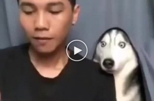 Забавная реакция собаки на фокус хозяина