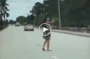 Девушка помогла необычным пешеходам перебраться на другую сторону