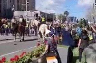 Попытки разгона протестующих против антикоронавирусных ограничений в Мельбурне