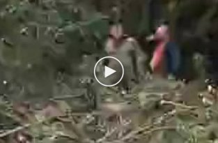В Нижнем Тагиле пьяный мужчина напал на рабочего, пилившего ветки