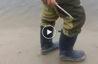 Рыбак поймал щуку с ондатрой внутри
