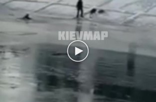 В Киеве собака с хозяином провалились под лед