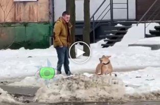 В Днепре парень натравливает свою собаку на прохожих