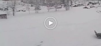 В Краснодаре выпал 41 сантиметр снега, движение парализовано