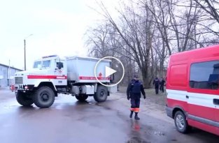 Спасатели показали как пес Патрон помогает в разминировании освобожденных территорий Черниговской области