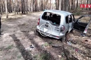 В лесу возле Ирпеня найден автомобиль с расстрелянной семьей