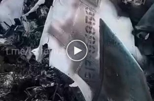 Сбитый вчера рашистский Су-34 возле Балаклеи