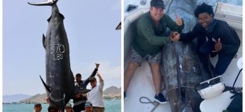 Три рыбака поймали гигантскую рыбину весом 621 кг (4 фото)