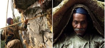 В Канаде нашли мумию мамонтёнка, у которой сохранились шерсть и когти (7 фото)