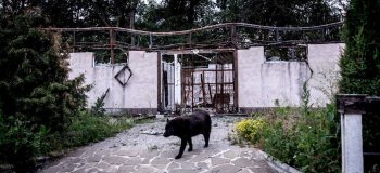 Вторжение рф в Украину. Хроника за 28 июня