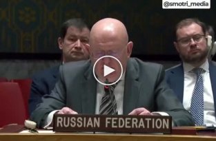 Российский постпред при ООН Небензя заявил очередной бред