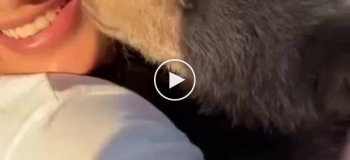 В Грозном медвежонок укусил девушку за лицо