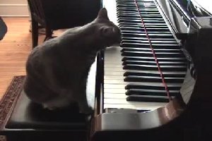 Нора играет на пианино