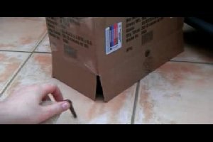 Как выманить кота из коробки