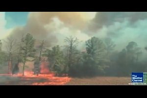 Как быстро могут распространяться лесные пожары