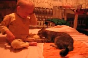 Ребенок против кота