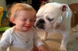 Милые отношения ребенка и собаки